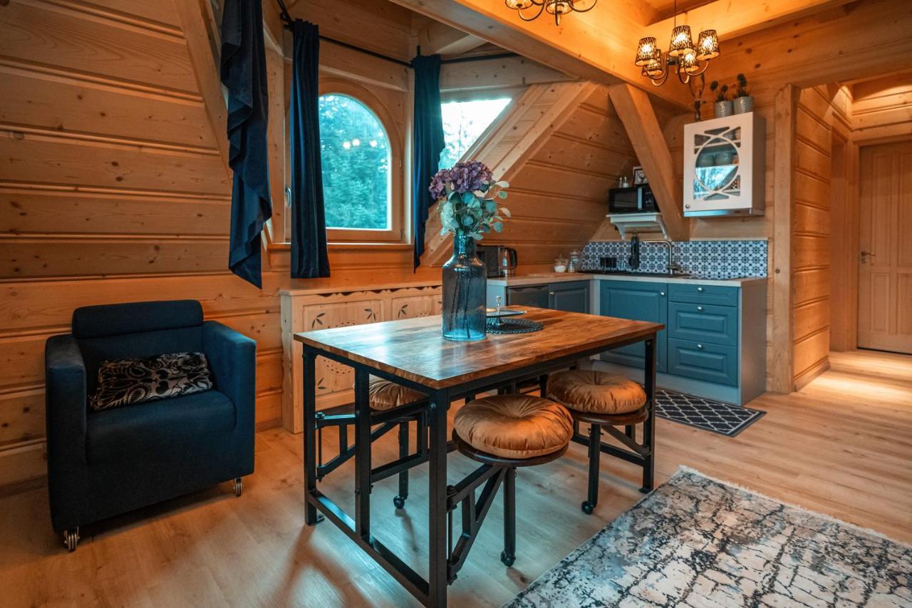 Rich Witch Villa&Spa Kościelisko Zewnętrze zdjęcie