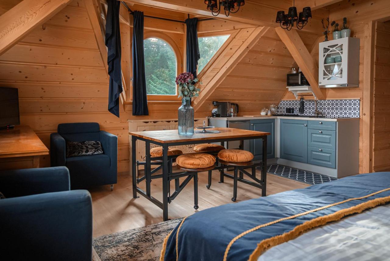 Rich Witch Villa&Spa Kościelisko Zewnętrze zdjęcie