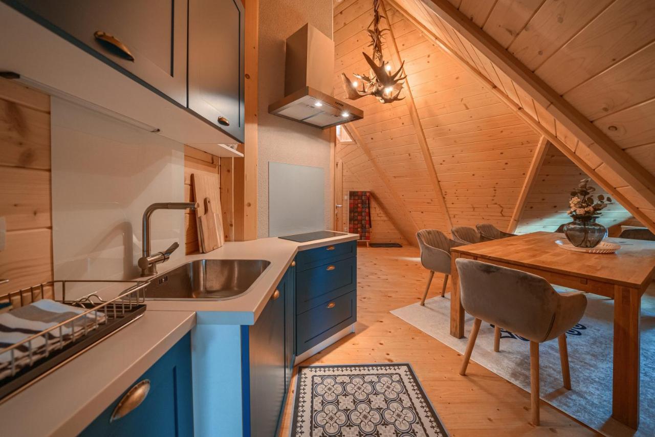 Rich Witch Villa&Spa Kościelisko Zewnętrze zdjęcie